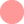 ピンクの丸